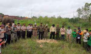 GAJAH JINAK TN.TESSO NILO INDRO DAN RAHMAN BANTU ATASI KONFLIK GAJAH DENGAN MANUSIA