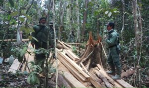 GELAR PATROLI TERPADU, BALAI TN TESSO NILO DAN TIM TEMUKAN INI !!