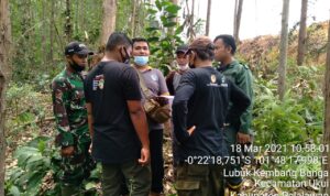 KELOMPOK GAJAH LIAR MEMASUKI PERKEBUNAN MASYARAKAT, BTNTN DAN TIM TURUN LAKSANAKAN MONITORING