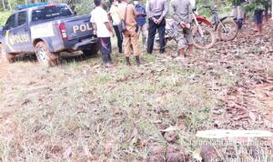 TIM GABUNGAN MITIGASI KONFLIK SATWA TN TESSO NILO GIRING GAJAH LIAR MASUK HUTAN