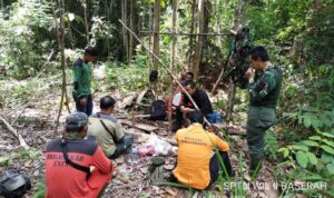 Musim Kemarau Makin Menjadi, Balai TN. Tesso Nilo Patroli Pencegahan Karhutla dan Sosialisasi Kepada Masyarakat