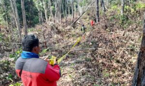 MASIH KEMARAU PANJANG, TN TESSO NILO INTENSIFKAN PATROLI PENCEGAHAN KARHUTLA