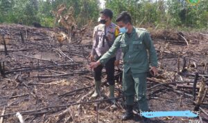 TINJAU LOKASI KARHUTLA, PETUGAS TN TESSO NILO AKAN TEGASKAN PERLINDUNGAN HUTAN ALAM