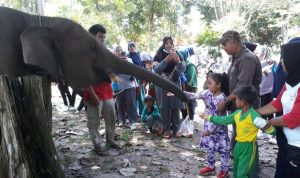 KARYA WISATA TK BUNGA BANGSA KE FLYING SQUAD TN TESSO NILO