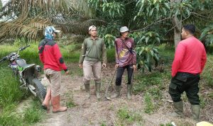 INTENSIFKAN PATROLI PENGAMANAN, PETUGAS HIMBAU MASYARAKAT LAPORKAN PERBUATAN MENCURIGAKAN DIDALAM KAWASAN