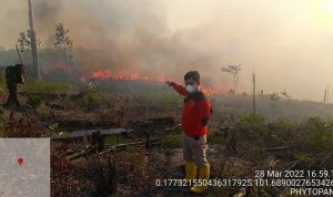 SIAGA PANTAU HOTSPOT, BRIGDALKARHUT TN TESSO NILO GROUND CHECK KAWASAN