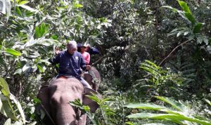 PATROLI PENCEGAHAN KONFLIK SATWA OLEH MAHOUT DAN GAJAH JINAK