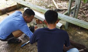 MASIH MASA ORIENTASI, CPNS BALAI TN TESSO NILO SAMBANGI RUMAH FLORA