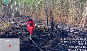 HOTSPOT TERPANTAU SATELIT, TIM BRIGDALKAR TNTN GERAK CEPAT PADAMKAN API