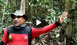 PATROLI PENGAMANAN HUTAN PETUGAS TN TESSO NILO DI SPTN WILAYAH II BASERAH