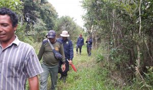 MASUK PEMUKIMAN MASYARAKAT, TIM MAHOUT TN TESSO NILO GIRING 3 GAJAH LIAR MASUK KEMBALI