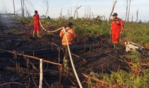 TERIMA LAPORAN KARHUTLA, BRIGDALKARHUT TN TESSO NILO DAN TIM UPAYAKAN PEMADAMAN KARHUTLA HINGGA TUNTAS