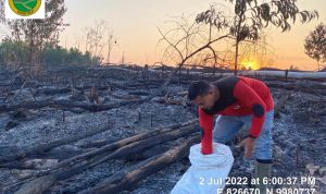 2 HARI BERJIBAKU, KEBAKARAN BERHASIL DIKENDALIKAN