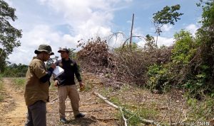 PENGAMATAN SUKSESI ALAMI AREAL SPTN WILAYAH II BASERAH