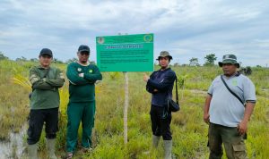 PETUGAS SPTN WILAYAH I LKB RUTINKAN MONITORING KELOMPOK DAN KAWASAN