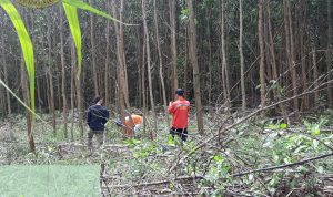 TIM PIKET JAGA TN TESSO NILO BERSAMA MASYARAKAT HALAU GAJAH LIAR MASUK KE KAWASAN