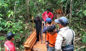 PIKET PENJAGAAN HUTAN TN TESSO NILO, TIM SEBAR BIJI TANAMAN