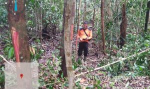 PATROLI KAWASAN, TIM TN TESSO NILO TEMUKAN PELAKU PERINTISAN