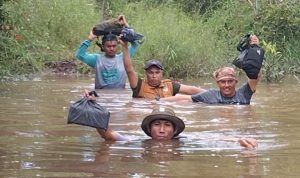 TIM GABUNGAN LANJUTKAN UPAYA PENGGIRINGAN GAJAH LIAR DI PANGKALAN KURAS, PELALAWAN