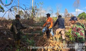 TIM PIKET PENGAAAN HUTAN TN TESSO NILO LAKUKAN MONITORING KAWASAN