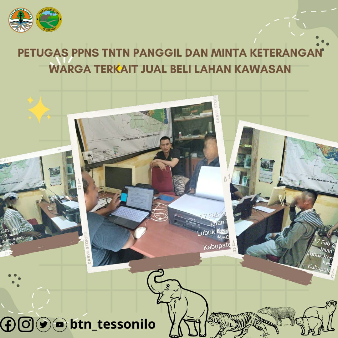 Taman Nasional Tesso Nilo – Taman Nasional Tesso Nilo Pelalawan ...