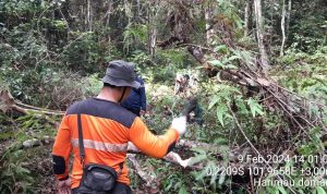 TIM SPTN WILAYAH I LKB BERSIHKAN JALUR PATROLI YANG TETTUTUP TUMBANGAN