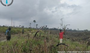 JAGA HUTAN ALAM TETAP LESTARI, TIM PATROLI SPTN WILAYAH II BASERAH LAKUKAN TINDAKAN PREVENTIF DAN PEMANTAUAN BERKALA