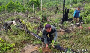 Patroli Bersama Masyarakat dan Petugas di Tesso Nilo Berhasil Ungkap Aktivitas Ilegal