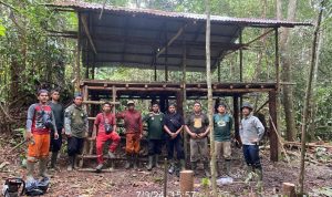 MAKSIMALKAN UPAYA PERLINDUNGAN, PETUGAS TN TESSO NILO BANGUN POS JAGA DI KAWASAN SPTN WILAYAH I LKB