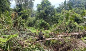 TIM SPTN WILAYAH I LUBUK KEMBANG BUNGA – Patroli Mandah Tim Pos Jaga Berhasil Amankan Kawasan Hutan Alam