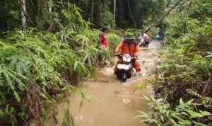 TIM SMART PATROL SPTN WILAYAH I LKB INTENSIFKAN PENGAWASAN DI TAMAN NASIONAL TESSO NILO