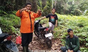 MENGAWAL KAWASAN: SMART PATROL DI TAMAN NASIONAL TESSO NILO UNGKAP REALITA INI !!