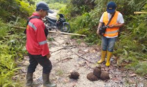 EMPAT HARI PATROLI, TIM TEMUKAN ALAT BERAT ILEGAL DAN JEJAK GAJAH LIAR DI LANCANG KUNING