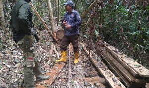 JALUR PATROLI DIRUSAK, TIM PATROLI SPTN WILAYAH II BASERAH TAK GENTAR DAN LANJUTKAN KEGIATAN