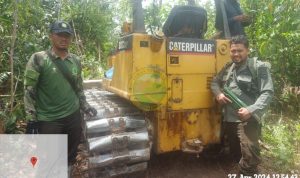 PENGEJARAN ALAT BERAT ILEGAL DI TESSO NILO: UPAYA PELINDUNGAN HUTAN TERUS BERLANJUT