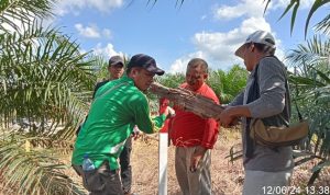 Pemeliharaan Batas TNTN: Komitmen Menjaga Kawasan Hutan Wilayah II Baserah
