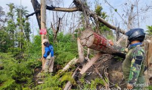 Tim Patroli Pencegahan Karhutla TN Tesso Nilo Berhasil Menyelamatkan Kawasan Baserah dari Ancaman Kebakaran Hutan