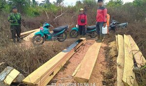 Patroli Pencegahan Kebakaran Hutan SPTN I LKB Berhasil Ungkap Kegiatan Illegal Logging