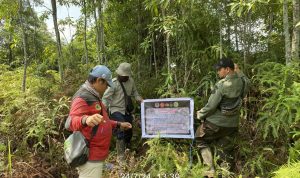 Tim Patroli Taman Nasional Tesso Nilo Gencar Cegah Perambahan Lahan