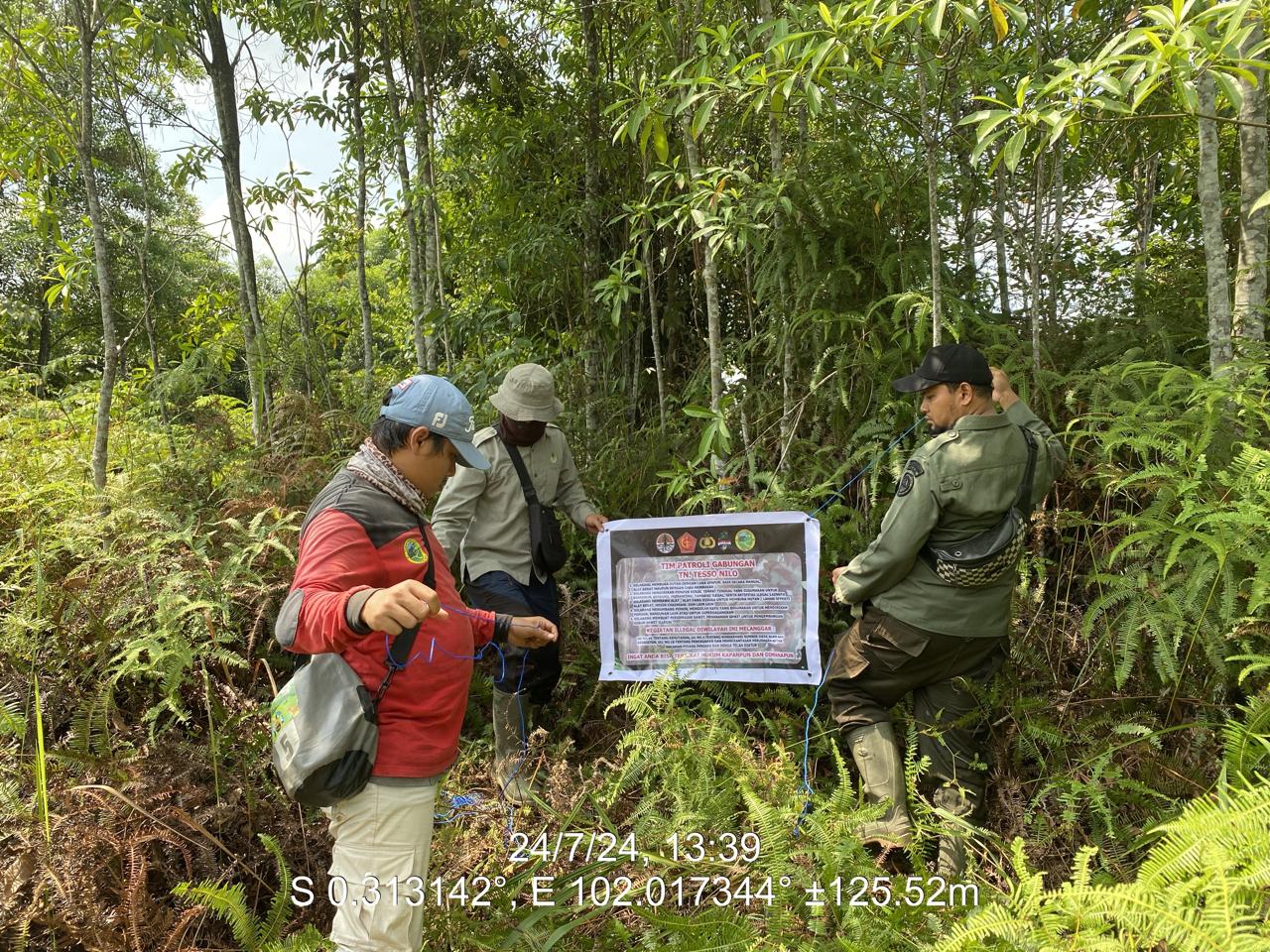 Tim Patroli Taman Nasional Tesso Nilo Gencar Cegah Perambahan Lahan