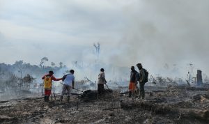 Melawan Kobaran Api: Tim Gabungan SPTN Wilayah II Baserah dan Polsek Ukui Berhasil Kendalikan Kebakaran Hutan Resort Nilo