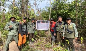 Patroli Penjagaan Hutan dan Pencegahan Kebakaran di Taman Nasional Tesso Nilo