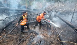 Kolaborasi Manggala Agni dan Warga Lokal Berhasil Kendalikan Kebakaran di TN Tesso Nilo