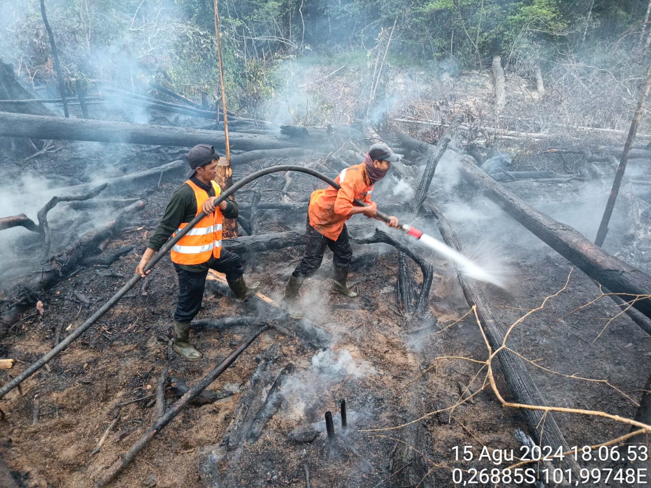 Kolaborasi Manggala Agni dan Warga Lokal Berhasil Kendalikan Kebakaran di TN Tesso Nilo