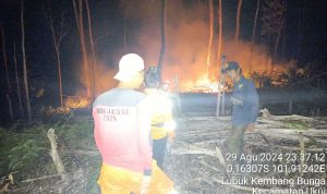 Perjuangan Tanpa Lelah Siang dan Malam Petugas Pemadam Karhutla TN Tesso Nilo di Kenayang, Resort Lancang Kuning Air Sawan