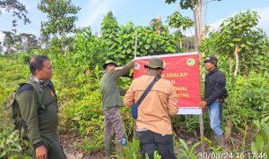 Patroli Hutan di TN Tesso Nilo: Dedikasi Tak Kenal Lelah untuk Menjaga Kelestarian Lingkungan