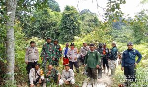 Patroli Terpadu di Taman Nasional Tesso Nilo Berhasil Putus Akses Perambah dan Hancurkan 2.500 Bibit Sawit Ilegal