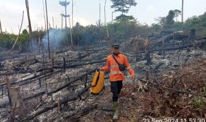 Tim Manggala Agni Tanggulangi Kebakaran Hutan di Onangan Nilo