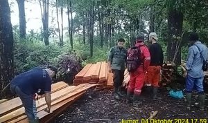 Patroli Rehab DAS: Upaya Petugas Melawan Illegal Logging dan Perlindungan Lingkungan