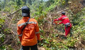 Patroli Smart: Menjaga Hutan dengan Tekad dan Ketangguhan